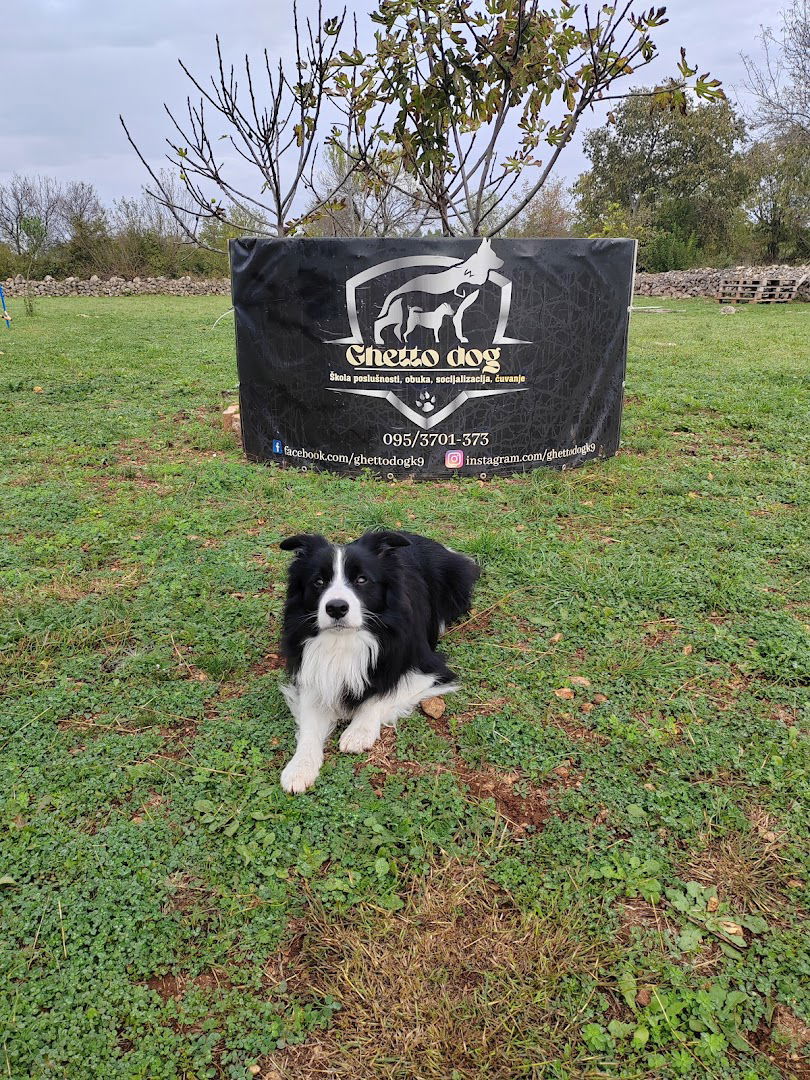 Ghetto Dog K9 - Dresura pasa Šibenik