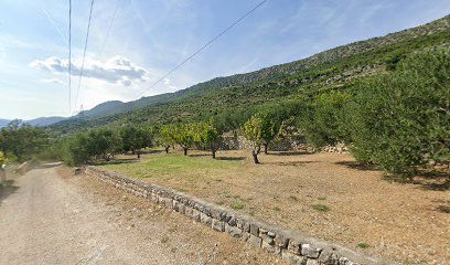 Ancient Connection Gathering