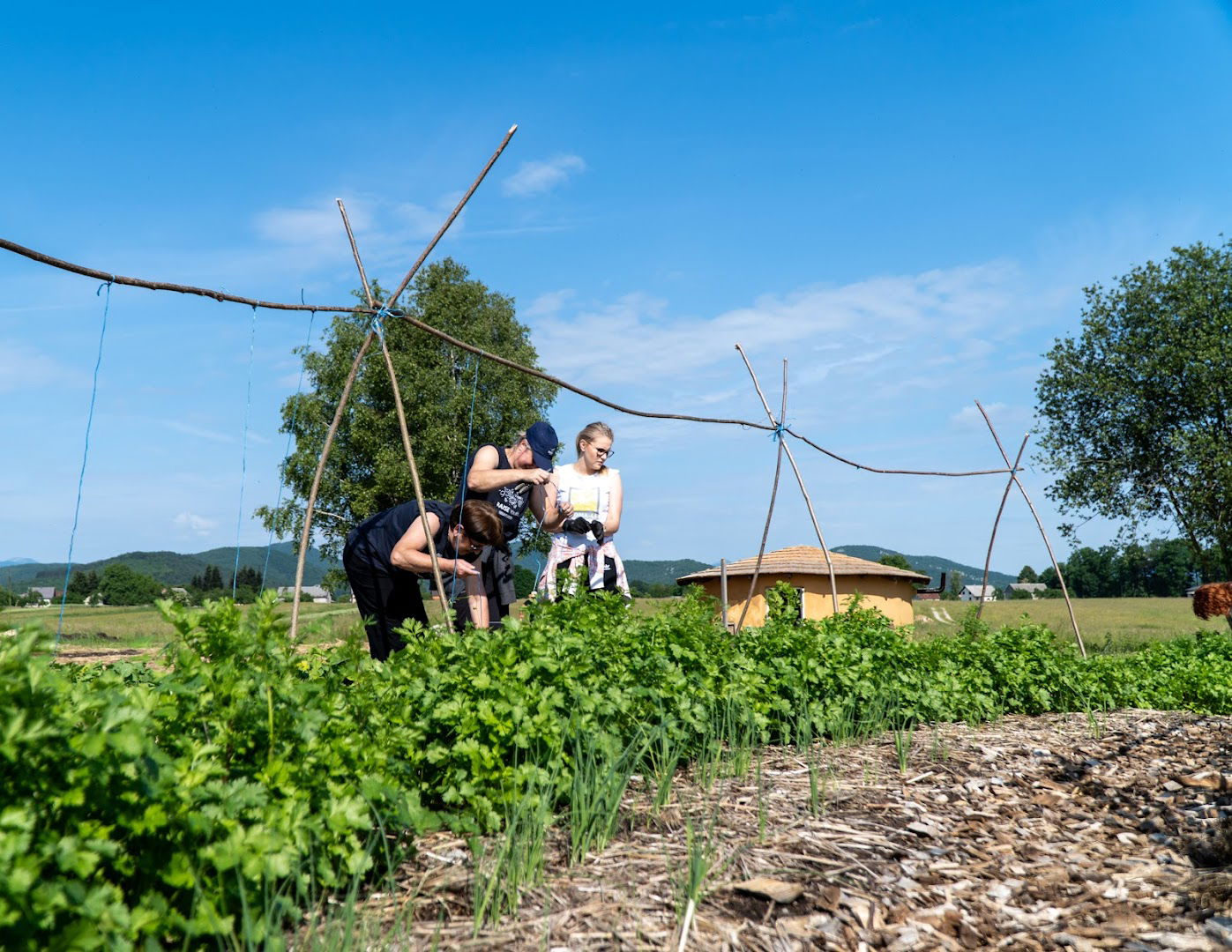 SUPER-LI Permakulturno imanje