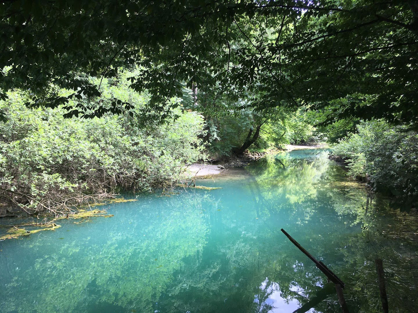 Izvir Ljubljanice pri Močilniku