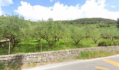 MEDITERANSKI INSTITUT 1