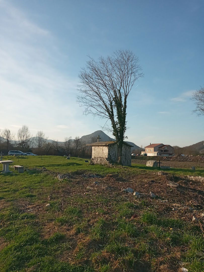 Starodrevno groblje na Mladima