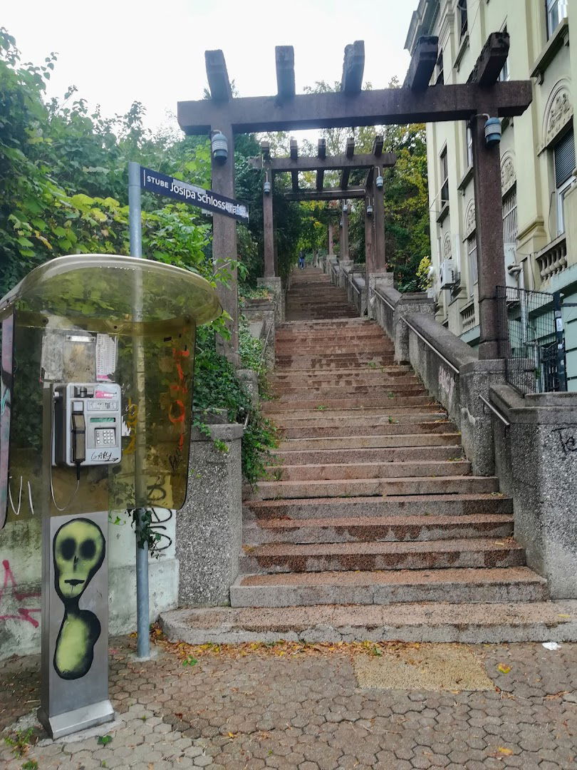 Ortopedija šalata, ambulanta