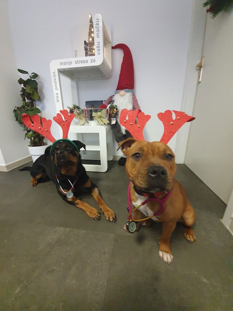 BlueDot - Veterinarska Ambulanta