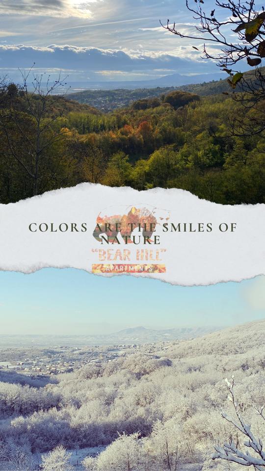 Bear Hill Apartments