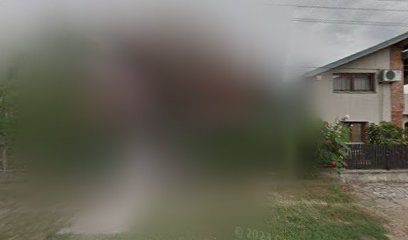 Autoprevoznik Dejan Markovic PR Smederevo, Kolarska 48