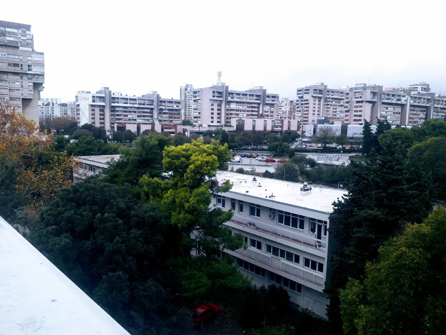 Medical Faculty Split