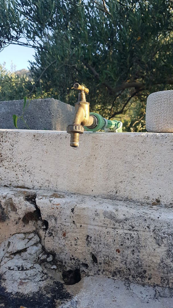 Vineyard Paradise Pitve