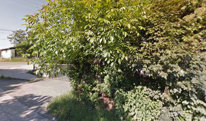 Compex Trade magacin