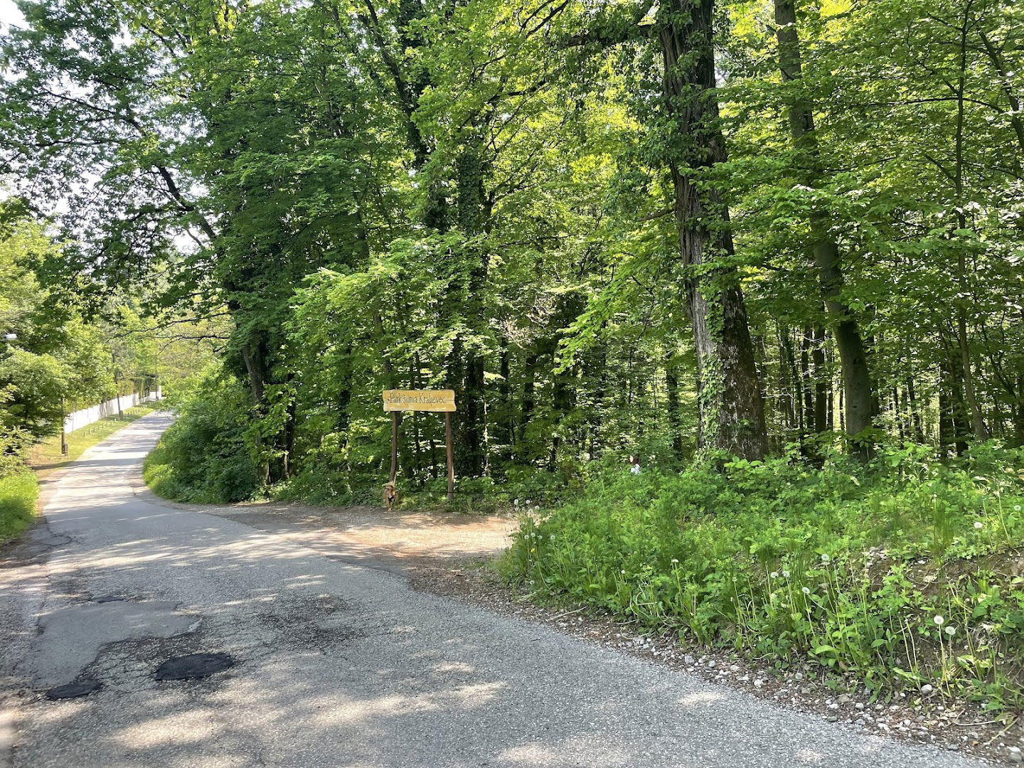 Park šuma Kraljevec