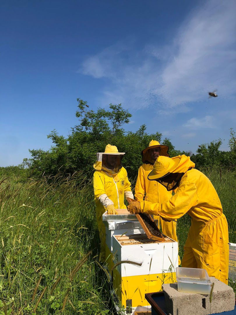Pčelarstvo Petar Matak