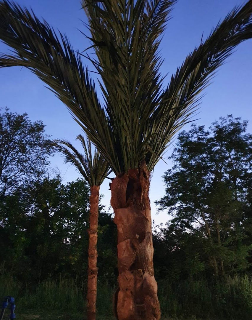 Tribun doo, preduzece za trgovinu, usluge i zastupanje