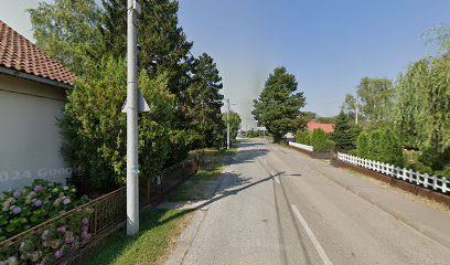 Čehi - društveni dom