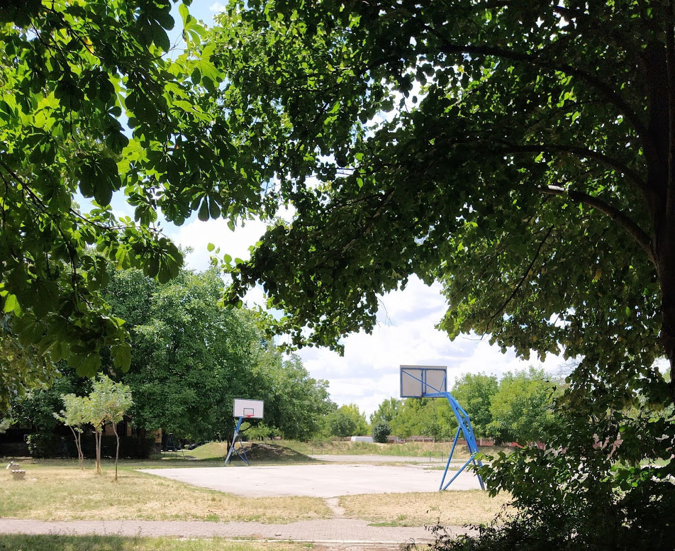 кошаркашки терен