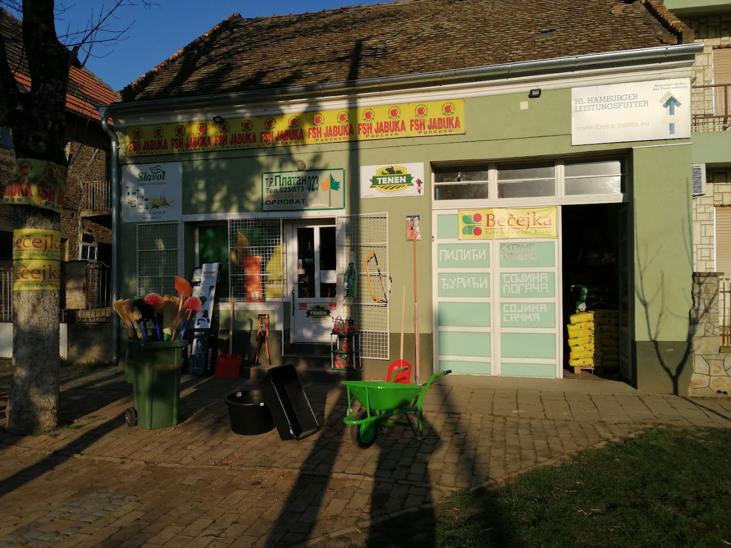 Platan 023 - Orlovat