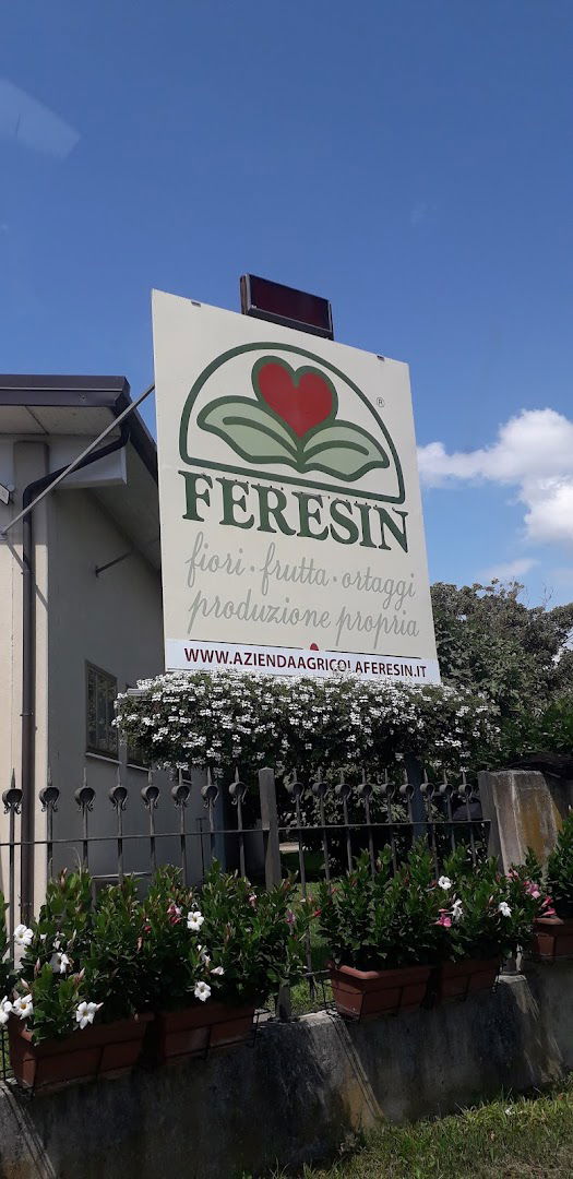 Feresin Alessandro and Charles S.S.