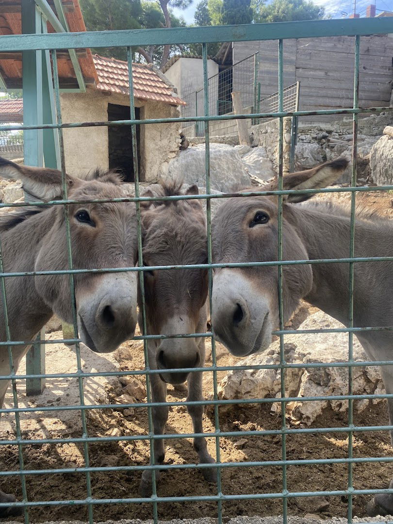 Natural history museum