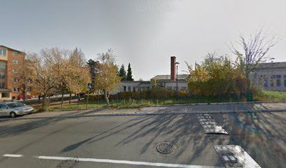 Основна школа "Владимир Роловић"