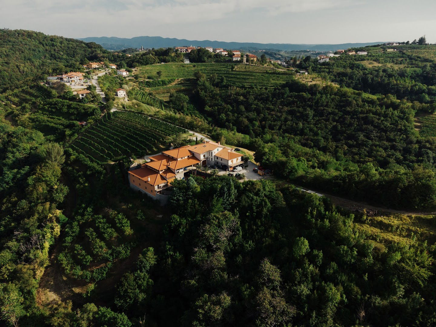 Zarova estate - Peršolja Klavdij Jurij