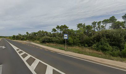 Petrčane Magistrala (A)