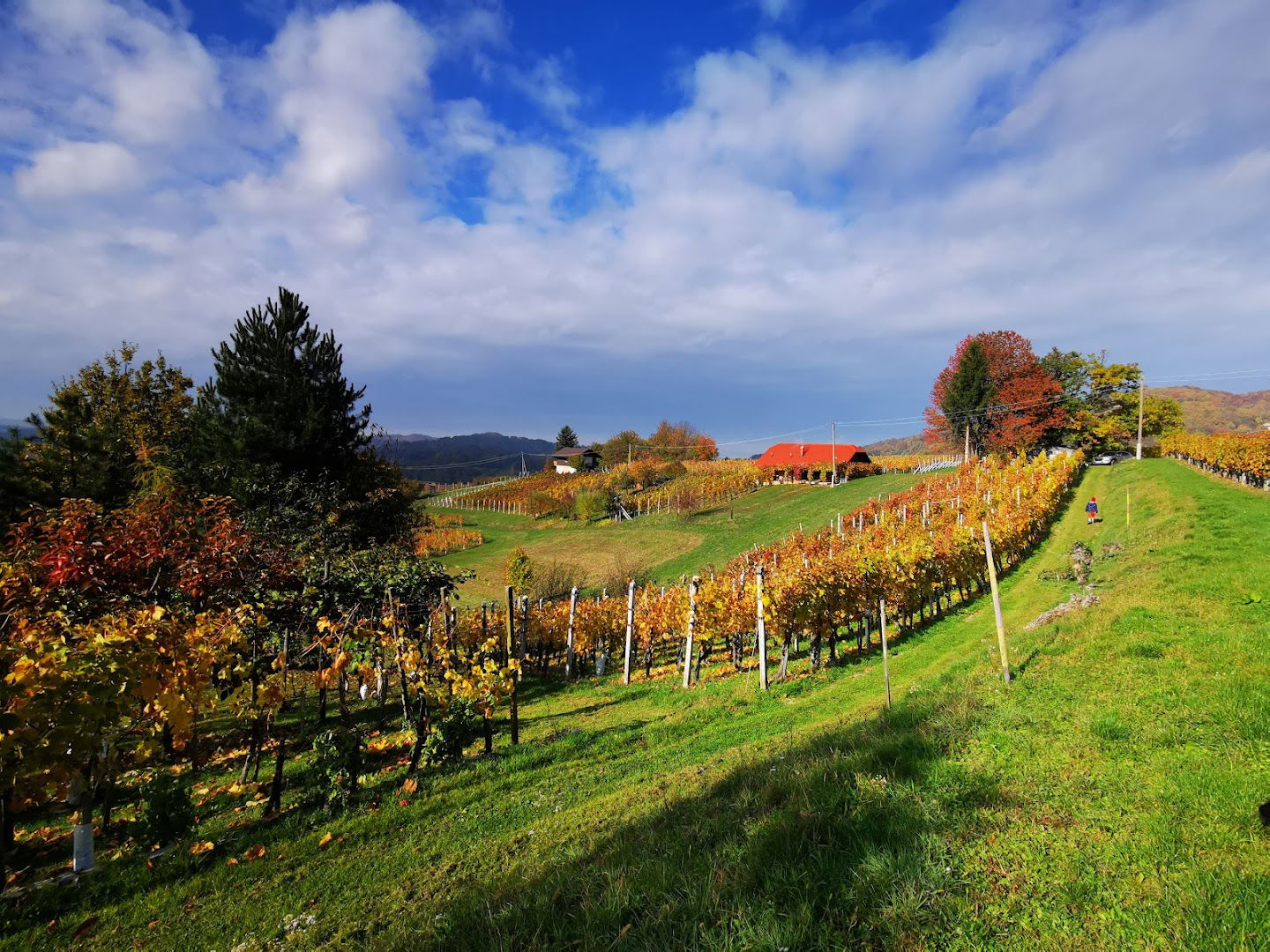 Vinska klet Baškovč