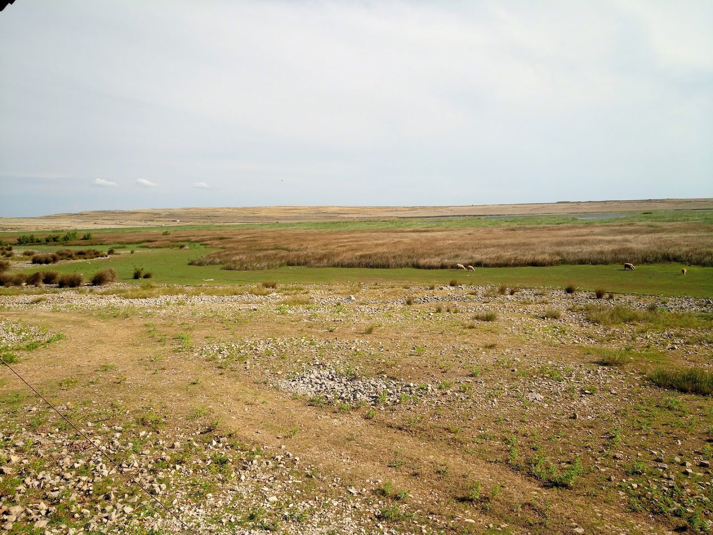 Veliko Blato Observation deck