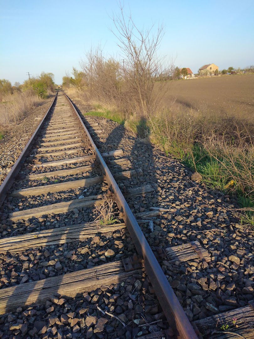 Železnička stanica Lazarevo