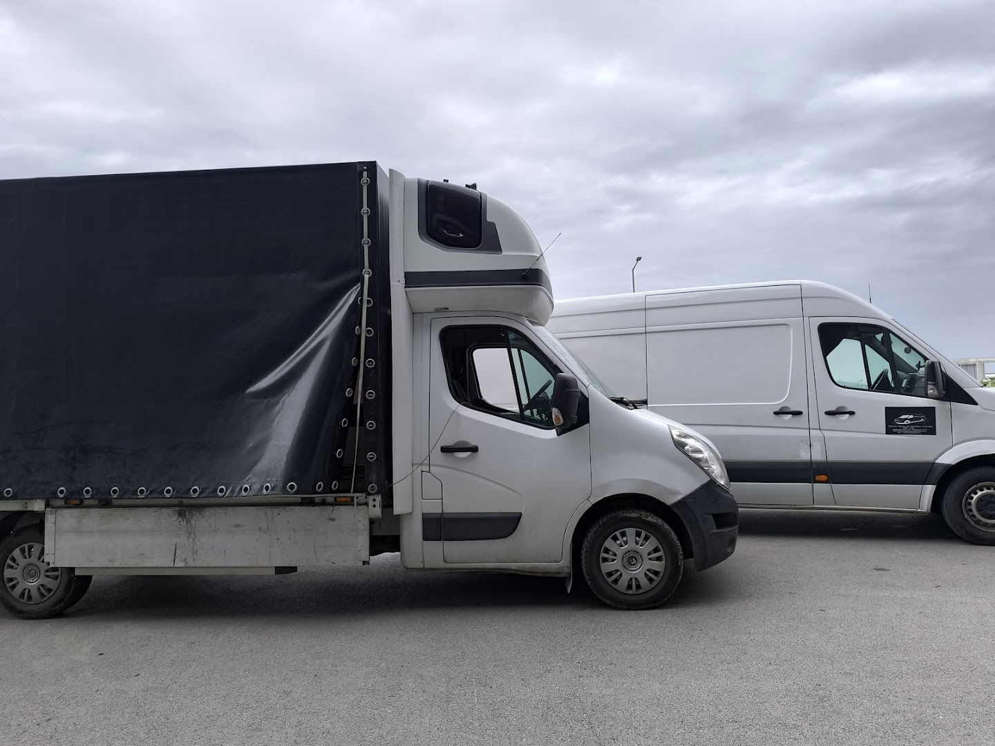 Nikolina Topalov PR S&M LOG