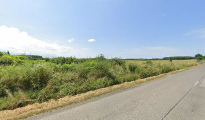 Csányoszró, Vajszlói elágazás [5]