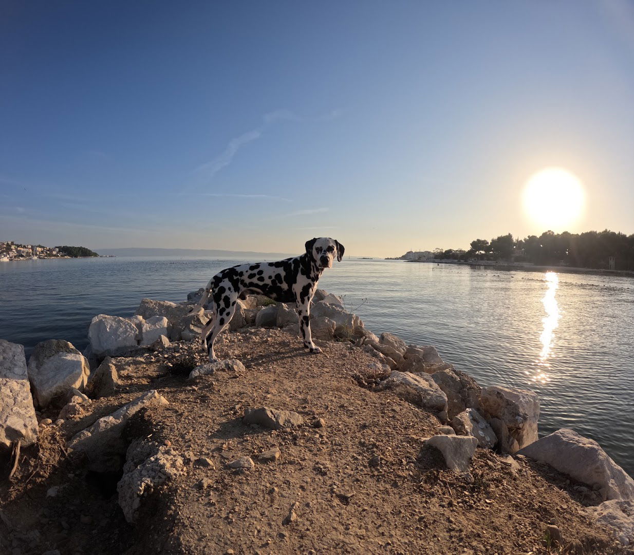 Veterinarska ambulanta Raunig