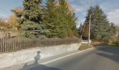 Vinca Milosa obrenovica