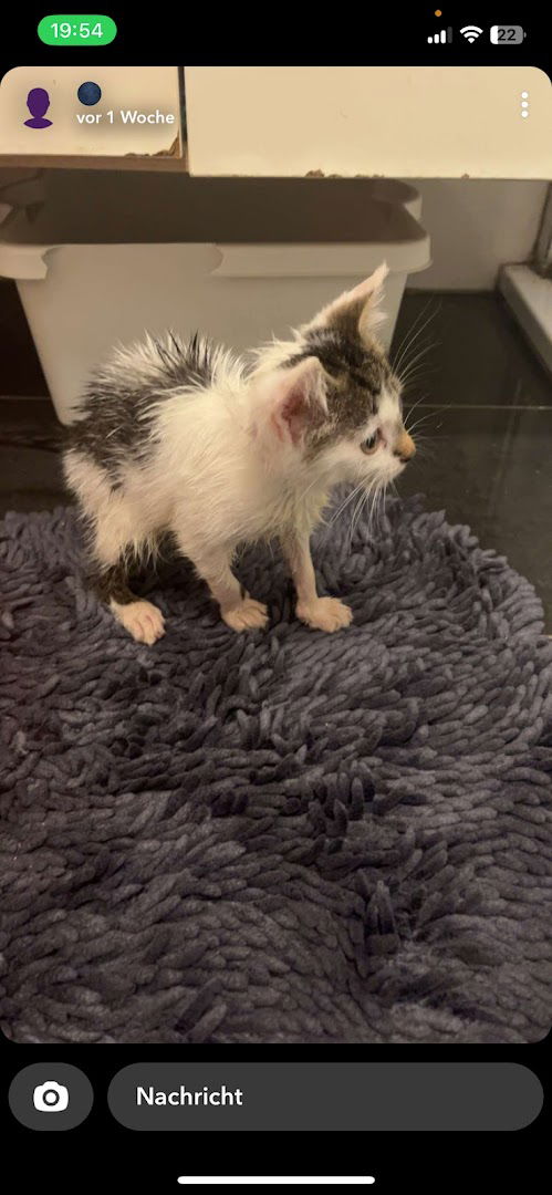 Nadja´s Supermarket