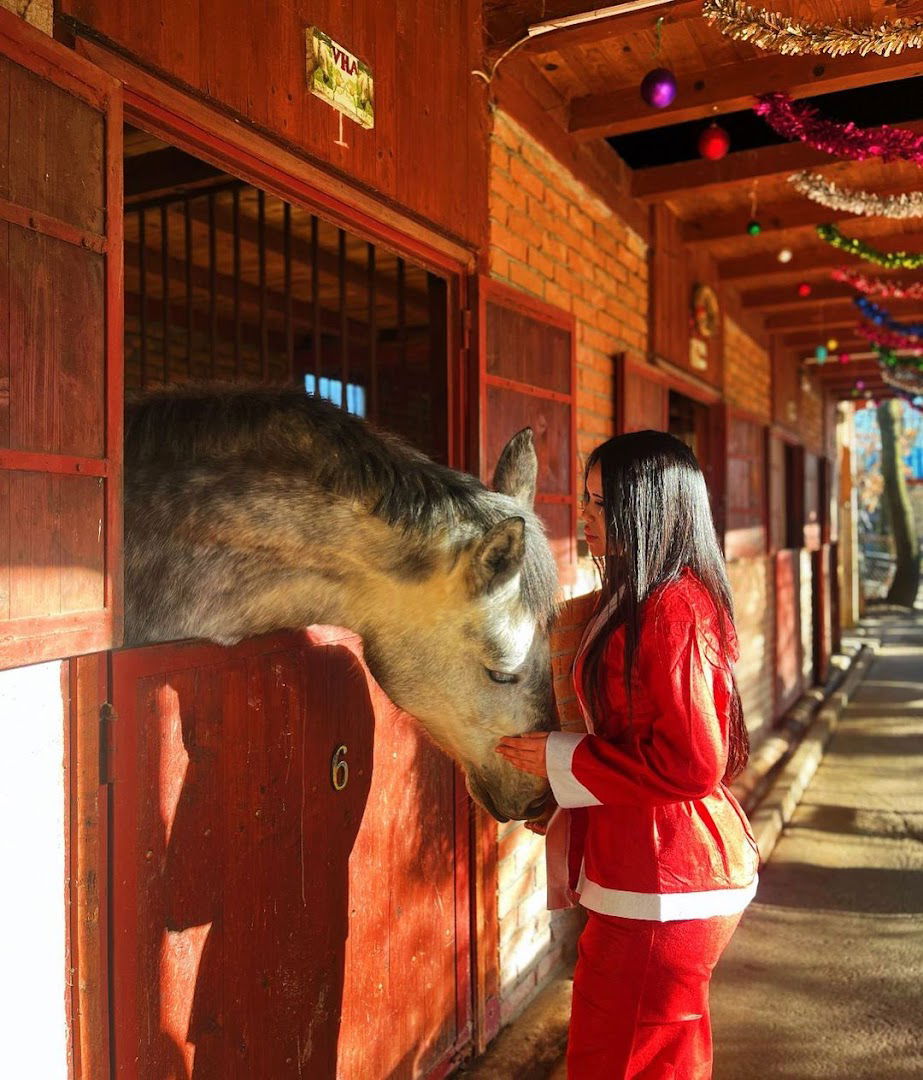 Konjicki Klub Forest of Klenovac
