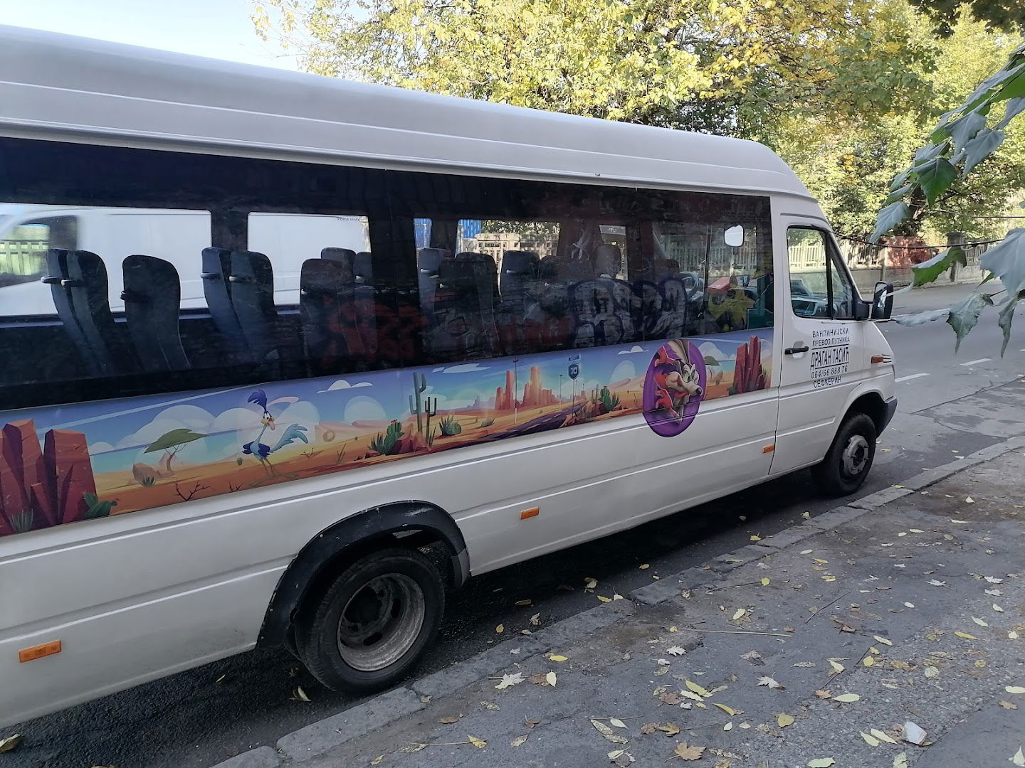 Vanlinijski prevoz putnika Dragan Tasić