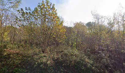 Old cemetery Vrginmost