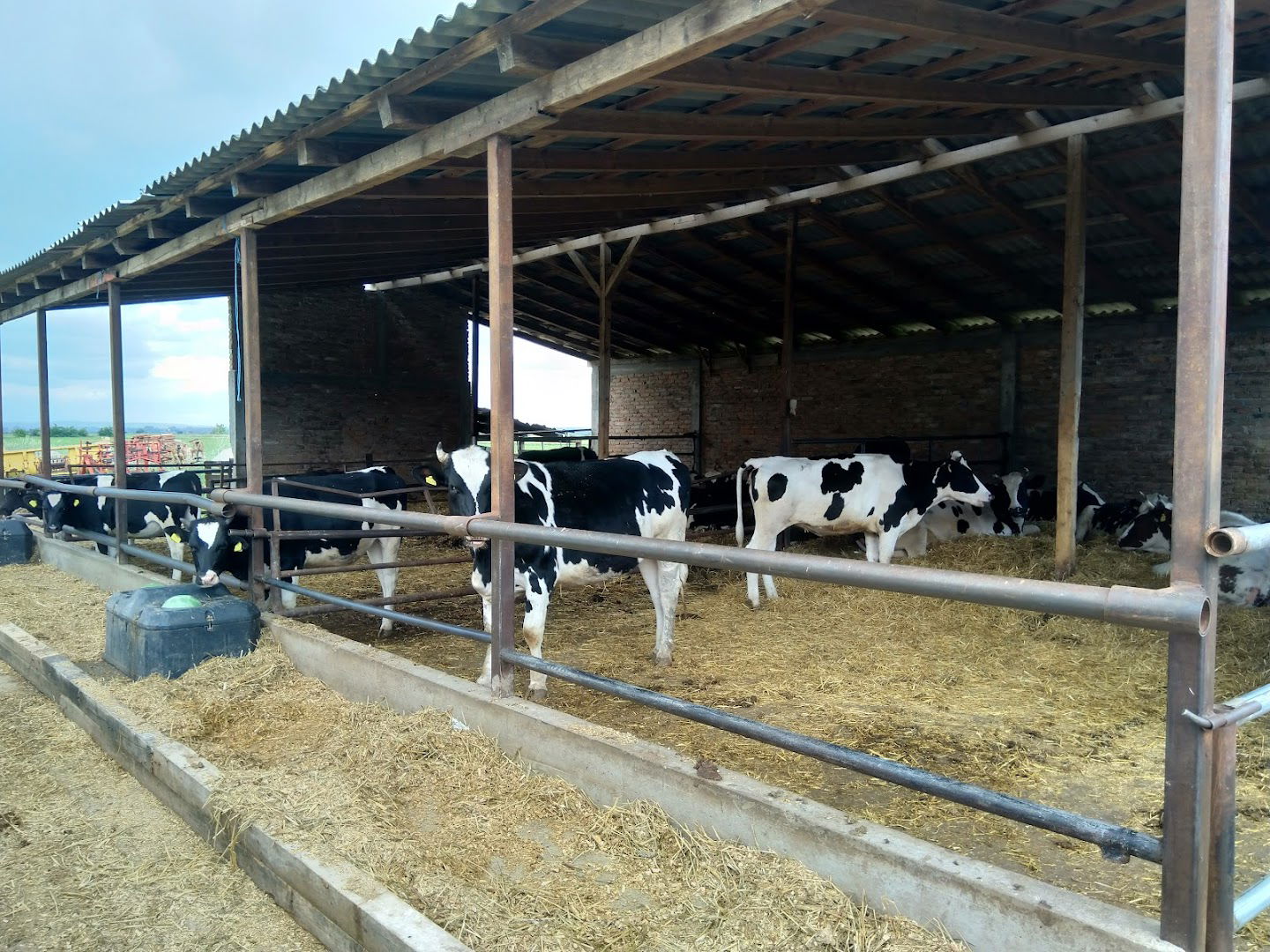 Фарма Ивковић