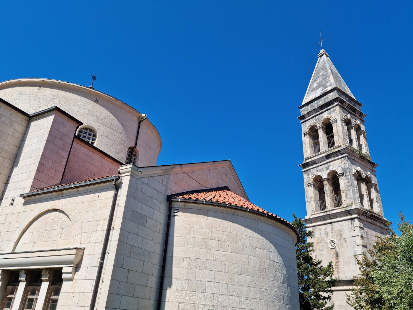 Malacological Museum