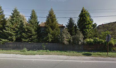 Slatka radionica MINjON