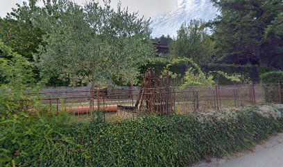 Športno društvo Morsko