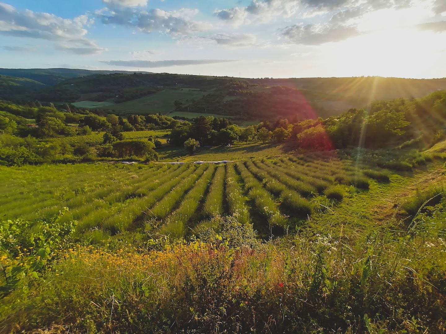 Lavanderia Sremski Karlovci