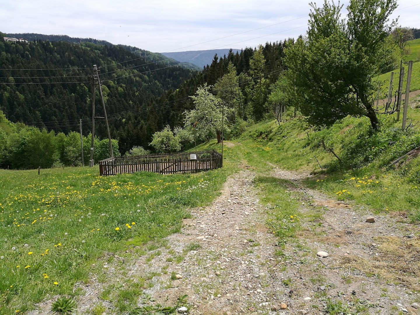 Avtoprevozništvo, Franc Maček s.p.