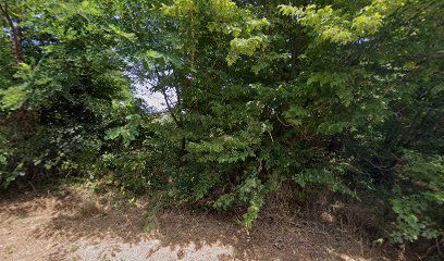 Grunt (Igralište s umjetnom travom)