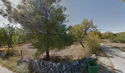 Vacation house Maslina