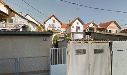 Прање аутомобила 310