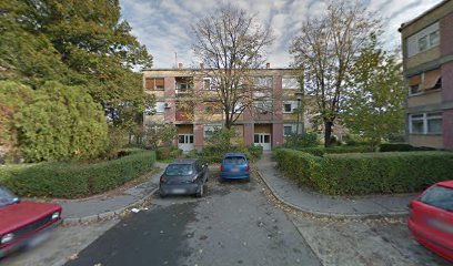 Auto Taxi Sasa Mitrovic Preduzetnik Borca