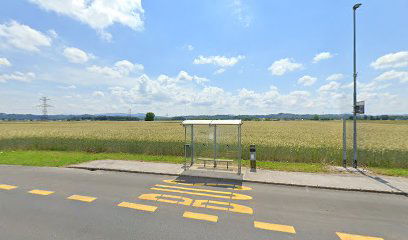 Nova vas/Markovcih K