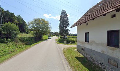 Lešnica/Ormožu sp.