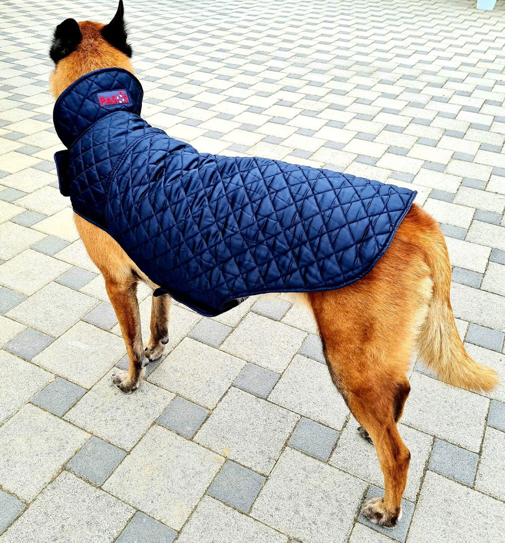 PaSoS pomagala za stare, bolesne i teško pokretne pse