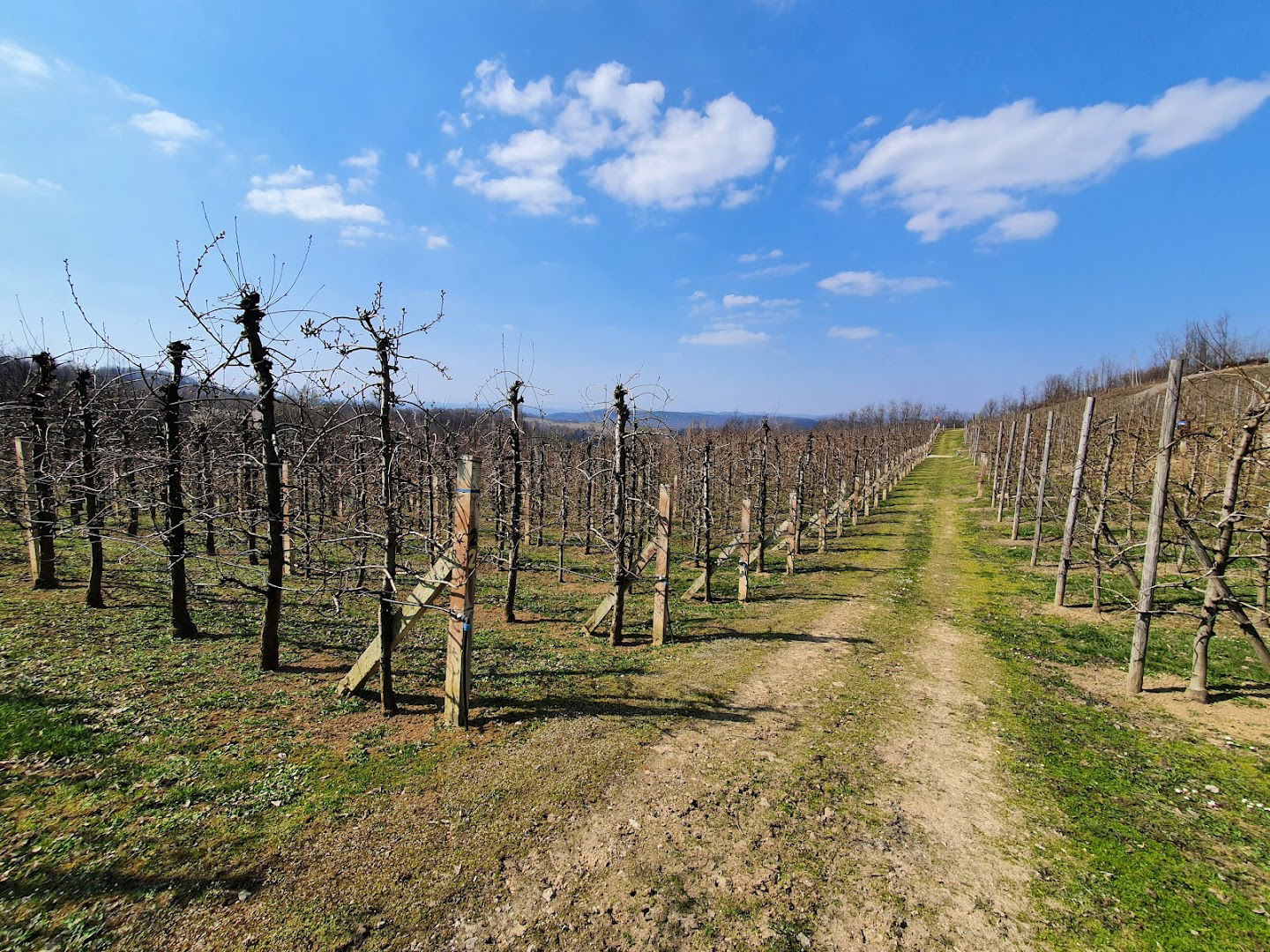 Voćarstvo Knežević