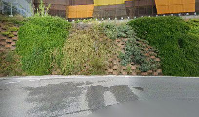 La Puglia di una volta